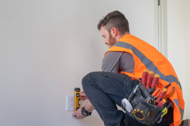 Best Ceiling Fan Installation Electrician  in Cresaptown, MD