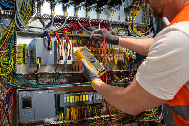 Best Electric Panel Repair  in Cresaptown, MD